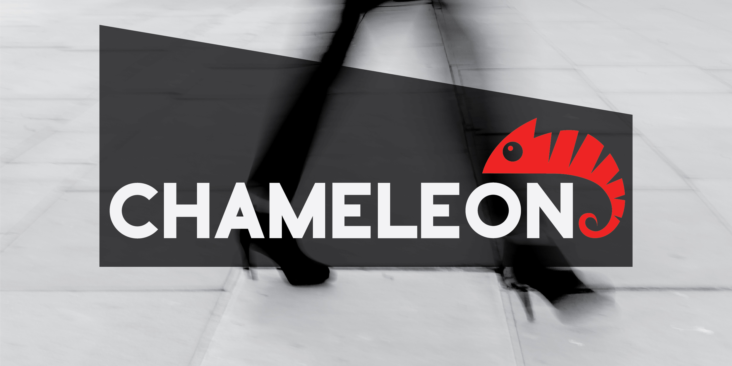 Chameleon Pop-Up Shop 