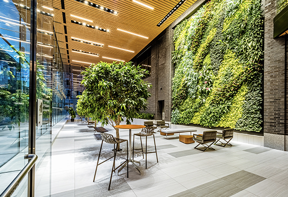 Five City Center Living Wall