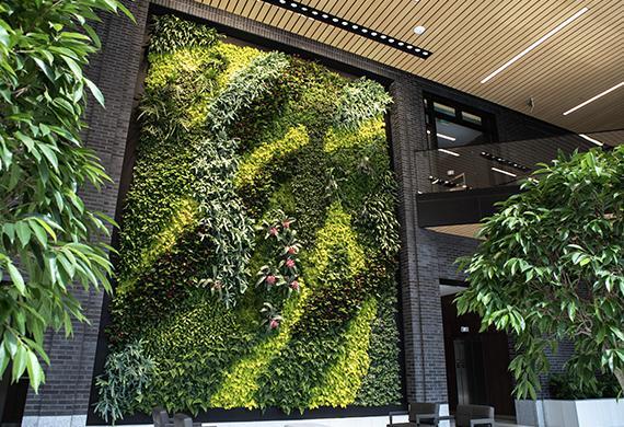 Living Wall at Five City Center